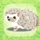 Hedgehog Pet aplikacja