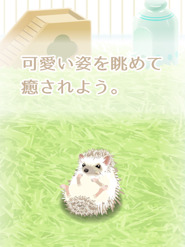 無料で 癒しのハリネズミ育成ゲーム アプリの最新版 Apk1 5をダウンロードー Android用 癒しのハリネズミ育成ゲーム Apk の最新バージョンをダウンロード Apkfab Com Jp