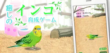 癒しのインコ育成ゲーム