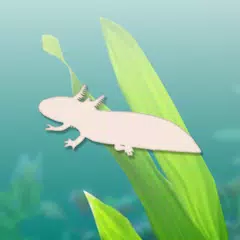 Axolotl Pet