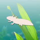 Axolotl Zeichen