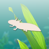 Axolotl Pet aplikacja