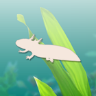 Axolotl biểu tượng