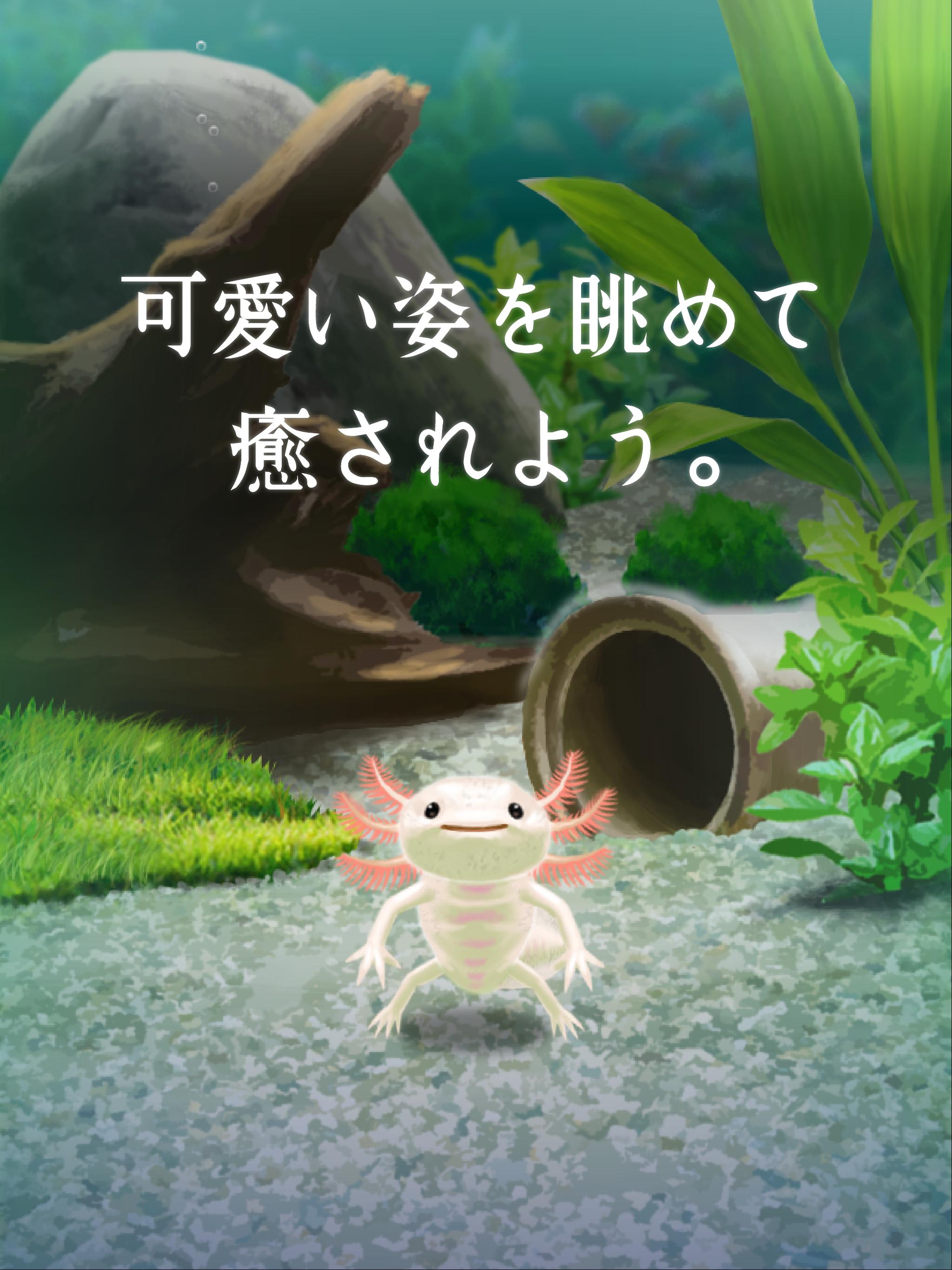 Android 用の 癒しのウーパールーパー育成ゲーム Apk をダウンロード