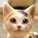 with My CAT - 猫とくらそう - APK