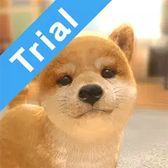with My DOG (Trial Version) APK download