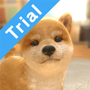 with My DOG (Trial Version) APK
