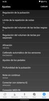 ProRecord captura de pantalla 2