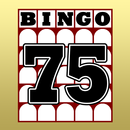 BingoCard byNSDev aplikacja