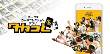 カードコレクション・タカコレ