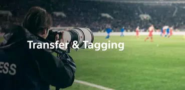 Sony | Transfer & Tagging