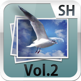 SH3D写真集 Vol.2 APK