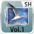 SH3D写真集vol.1 APK