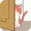 Shelter a KITTY