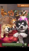 動物ダンス 子犬 ポスター