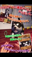 動物ダンス 子犬 スクリーンショット 1