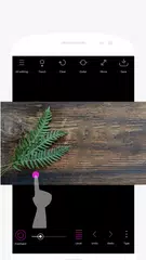 Point Blur XAPK 下載