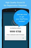 SkyPhone Affiche