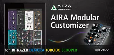 AIRA Modular Customizer
