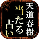 【99％当たる占い】占い界権威◆天道春樹 APK