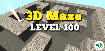 3D Maze Level 100