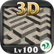”3D Maze Level 100