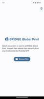 e-BRIDGE Global Print 海報