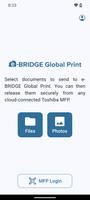 e-BRIDGE Global Print الملصق