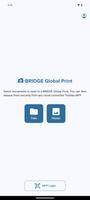 e-BRIDGE Global Print تصوير الشاشة 3