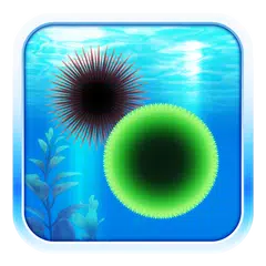 Amazing Aquarium APK download