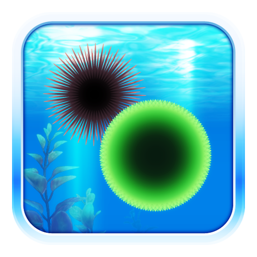 Amazing Aquarium