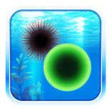 Amazing Aquarium