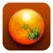 Rotten Tangerines