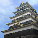 APK Edo Castle Tower Keep Resurrec
