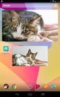 Random photo widget with paint capture d'écran 3