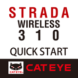 StradaWL310-EN APK