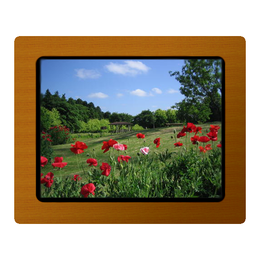 Various Photo Widget