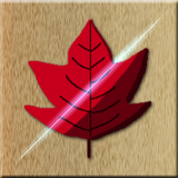 MapleHunt icon