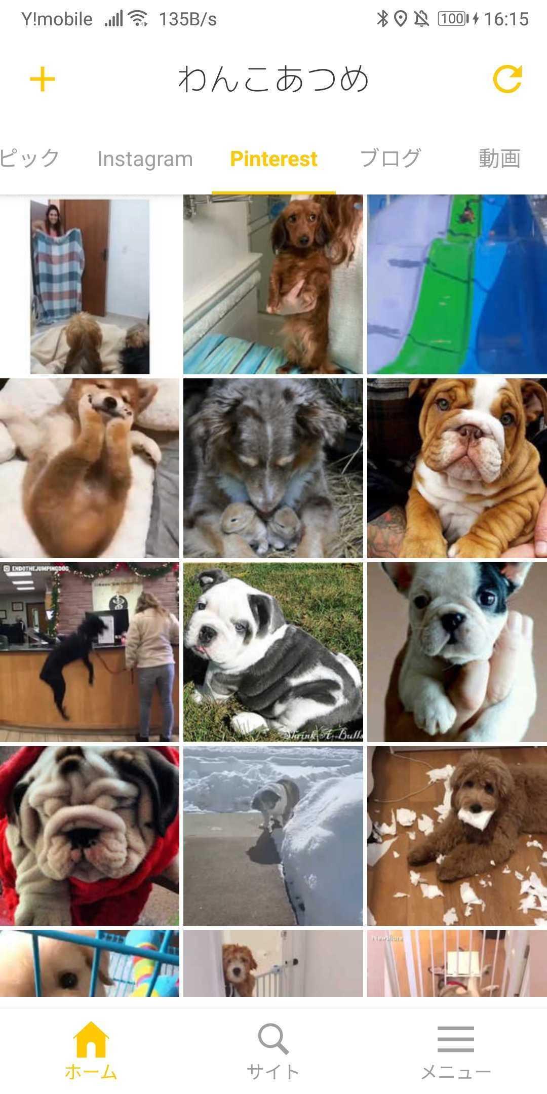 わんこあつめ 犬好き必見アプリ 犬に関するニュースやブログ インスタ 動画が無料でサクサク見れる For Android Apk Download