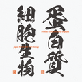 第19回日本蛋白質科学会年会 第71回日本細胞生物学会大会