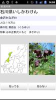 2 Schermata 都道府県を覚える