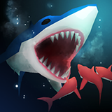 Shark Fest иконка