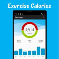 Pedometer ảnh chụp màn hình 3
