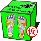 和鍼灸院式足裏反射区（仮） أيقونة