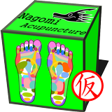和鍼灸院式足裏反射区（仮） أيقونة