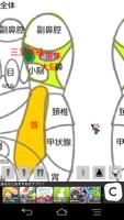 和鍼灸院式足裏反射区（仮） تصوير الشاشة 2