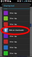 Web pic downloader اسکرین شاٹ 1