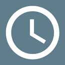 TimeSignalService Professional APK