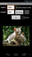 PictWidget screenshot 1