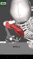和鍼灸院式解剖学（骨格）　3D capture d'écran 2